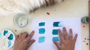 Чем отличаются масляные краски от акриловых?