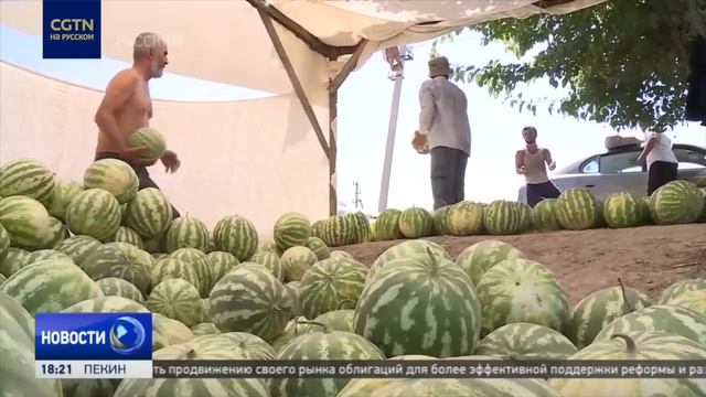 В Таджикистане побит температурный рекорд смотреть онлайн