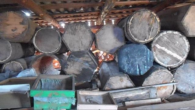 Ловушки для пчёл смотреть онлайн