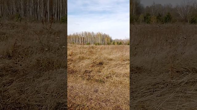 192 Жабья порча как её снять!!! смотреть онлайн