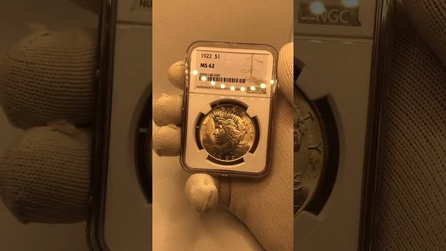 1 доллар 1922 Мирный доллар в Слабе NGC MS 62 / Peace dollar в Слабе #монеты #coin #gold #collectio смотреть онлайн