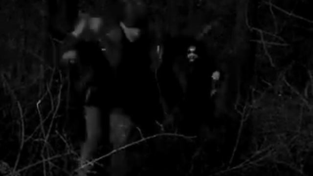 Стая гиен на охоте смотреть онлайн