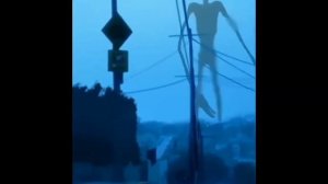 Сиреноголовый танцует