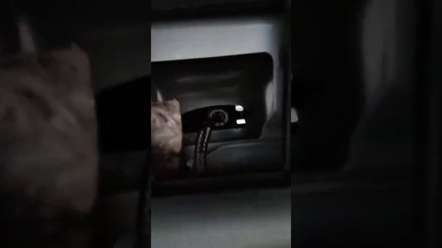 Замена лампочек подсветки номера Toyota Prius 30/Bulbs Toyota Prius 30 смотреть онлайн