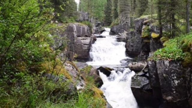 Kazakhstan. Топ красивых мест Казахстана. Джунгарский Алатау. Тургеньское ущелье. Таёжные места