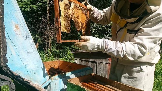 YouCut_20230612_165809616.mp4 смотреть онлайн