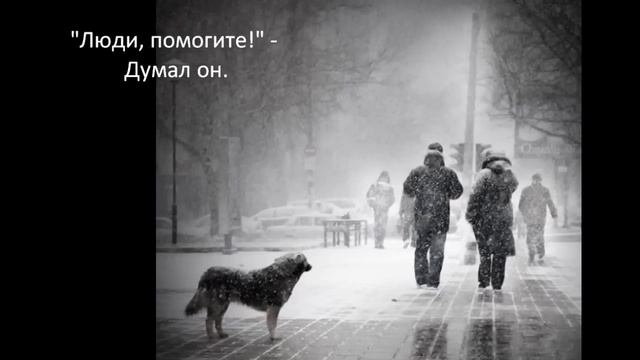Грустная история собаки, до слёз смотреть онлайн