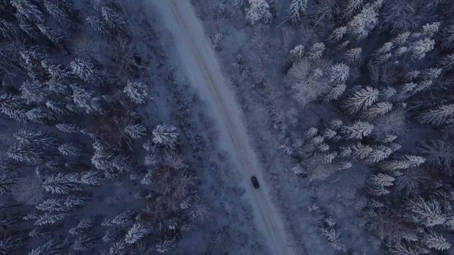 ford focus 2 любительская съёмка смотреть онлайн