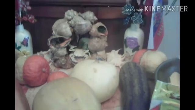 Рецепты для здоровой жизни 