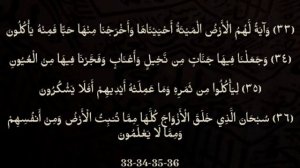 Выучите Коран наизусть | Каждый аят по 10 раз ?| Сура 36 "ЙаСин" (33-38 аяты)