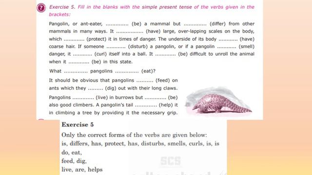 VERBS EXPRESSING PRESENT CHAPTER 2 смотреть онлайн