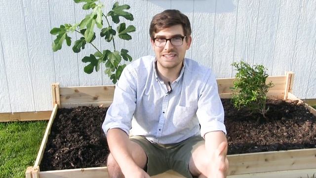 How to Grow Figs - Complete Growing Guide смотреть онлайн