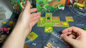 КАРКАССОН С ДОПОЛНЕНИЯМИ / КАКИЕ СТОИТ БРАТЬ А КАКИЕ НЕТ