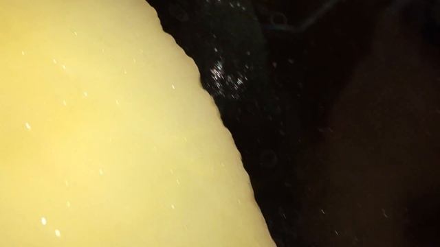 Улитка ахатина показывает зубы (радулу) смотреть онлайн