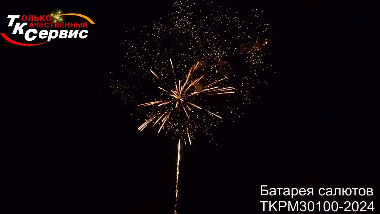 TKPM30100 2024 смотреть онлайн