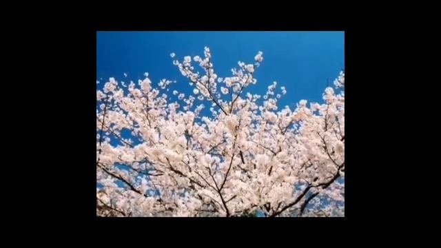 Иван Тургенев - В дороге смотреть онлайн