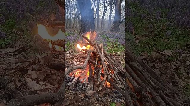 Этот огонь ничего не сжигал — он согревал… Он и не знал, что огонь может быть таким.Рэй Брэдбери смотреть онлайн