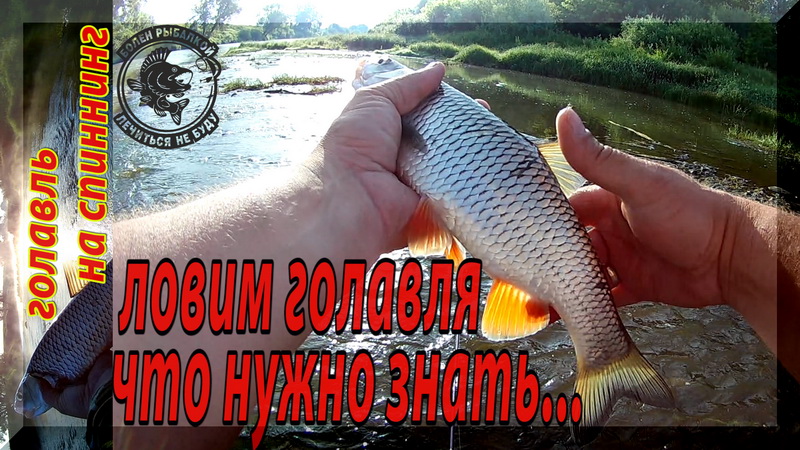 Ловля голавля на воблеры. Что нужно знать. смотреть онлайн