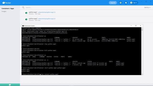 Docker Управление контейнерами урок 7 смотреть онлайн
