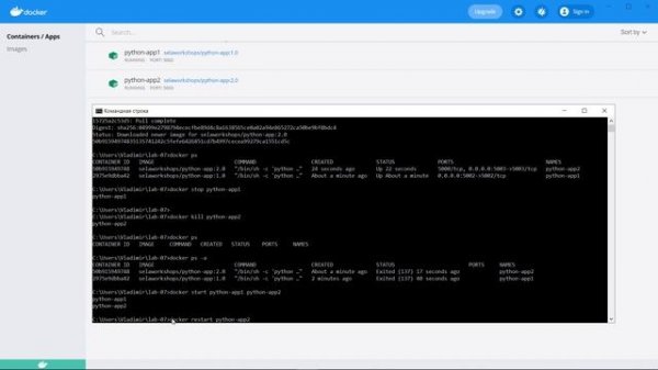 Docker Управление контейнерами урок 7