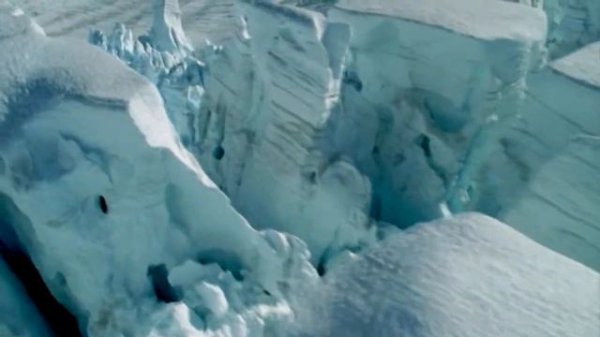 Вернер Херцог о Человеке Гризли