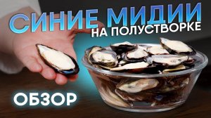 ОБЗОР Синие мидии на полустворке. Как выбирать мидии? Органолептика деликатесных морепродуктов.