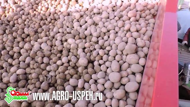 КАРТОФЕЛЬ смотреть онлайн