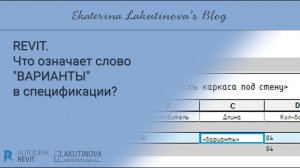 Что означает слово «ВАРИАНТЫ» в спецификации?
