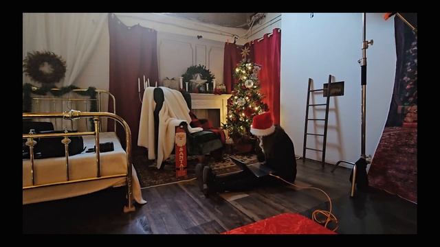 Studio Lighting Set Up Christmas 2023 смотреть онлайн