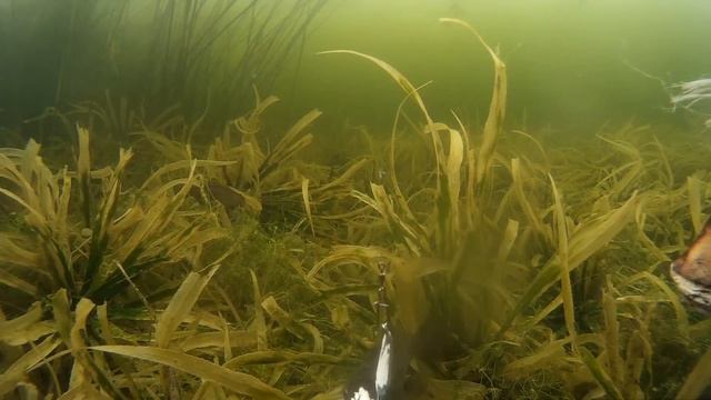 Рыба есть. Ловить надо уметь. смотреть онлайн