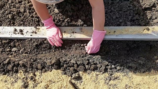 Лук севок: посадка весной, что класть в лунку для большого урожая смотреть онлайн