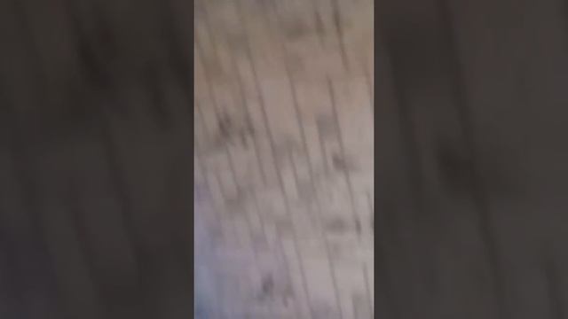 Блог моего дома смотреть онлайн