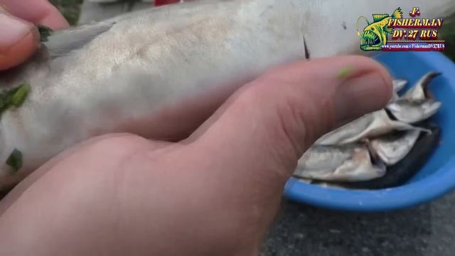 Рецепты Здорового Питания