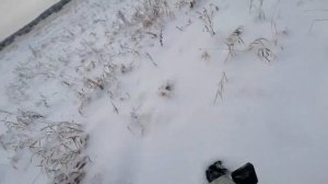 Самодельные лыжи на передний адаптер мотоблока МБ-2