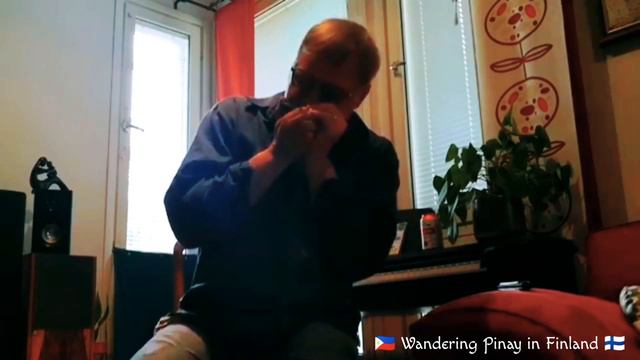 Finnish Husband-Wandering Pinay in Finland (Husband playing his Harmonica/French Harp) смотреть онлайн