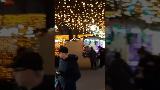 ? Ярмарка в Новый год в Центральном парке #узбекистан #новыйгод #uzbekistan #tashkent #newyear смотреть онлайн