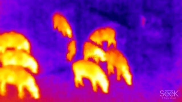 video 3493d118049c2c2ff162d34e3947eefb49957ec9eee5019efab80261f72d00e7 V смотреть онлайн