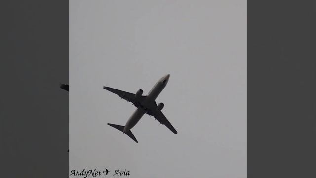 Boeing 737-8AS UTair Aviation RA-73084 approach to Vnukovo (VKO/UUWW) 17.07.2022 смотреть онлайн