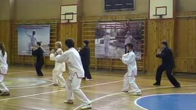 FEDERATION DONGYUE_24 FORMS OF TAIJIQUAN_CHUBCHENKO.flv смотреть онлайн
