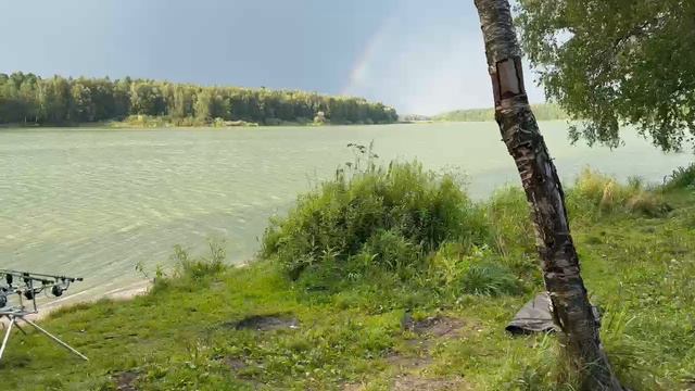 Августовская рыбалка на карпа