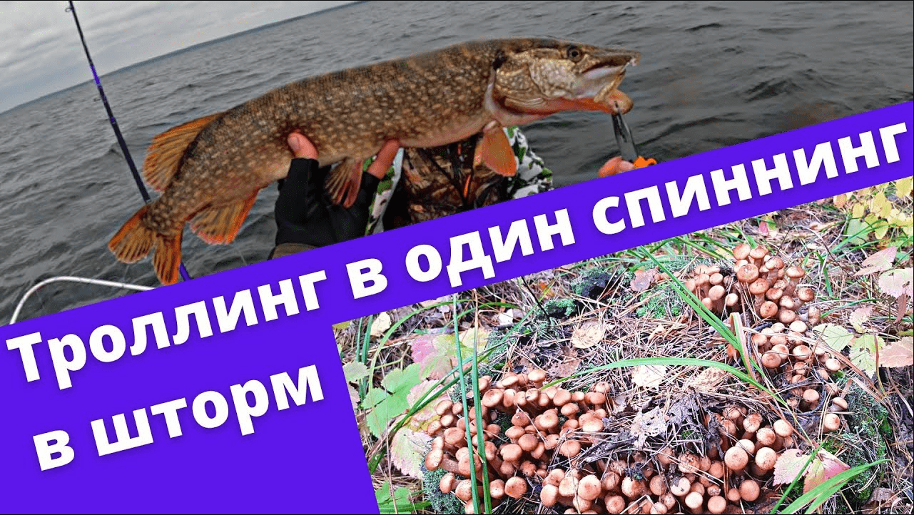 Аргази. Троллинг в один спиннинг в шторм возможен! Судак, щука, грибы. смотреть онлайн