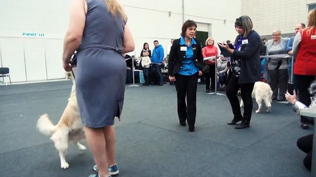 2018 11 10   Выставка 'Ковчег'