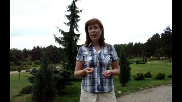 Методика Утренние страницы смотреть онлайн