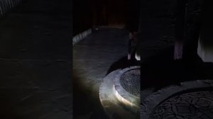 светодиодные ПТФ на галант 9 тест