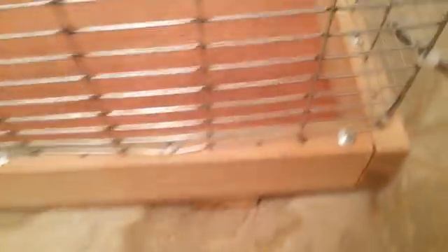 Клетка для волнистого попугая смотреть онлайн