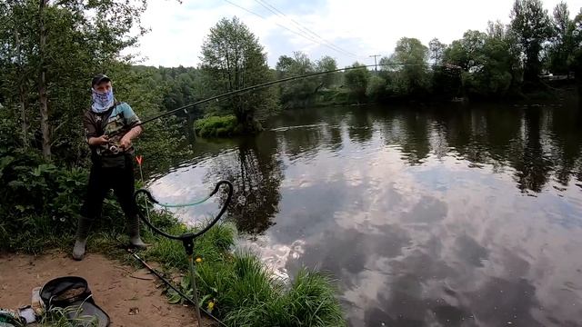 Сказочная рыбалка у плотины. Новый пикер. Подлещики, плотва, комары. Дикая рыбалка в Подмосковье. смотреть онлайн