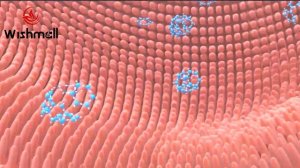 Что такое аргинин?Для чего нужен аргинин?