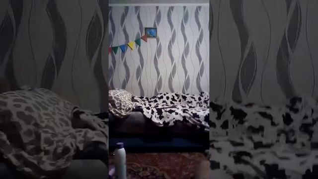 Что я беру с собой в аквапарк (Лиимкор)) Буду снимать завтра слидите за видео)) смотреть онлайн