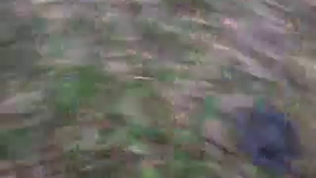Металлоискатель барска который не ищет смотреть онлайн