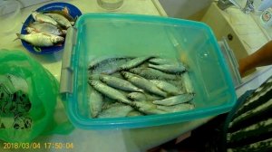 Сухой посол мелкой рыбы